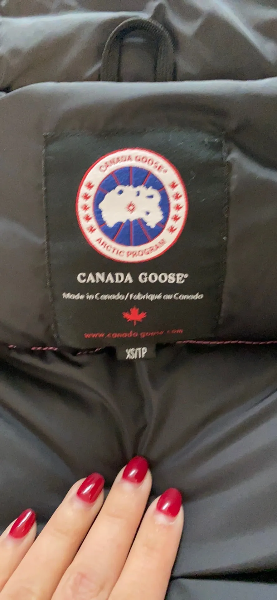 Canada goose vest