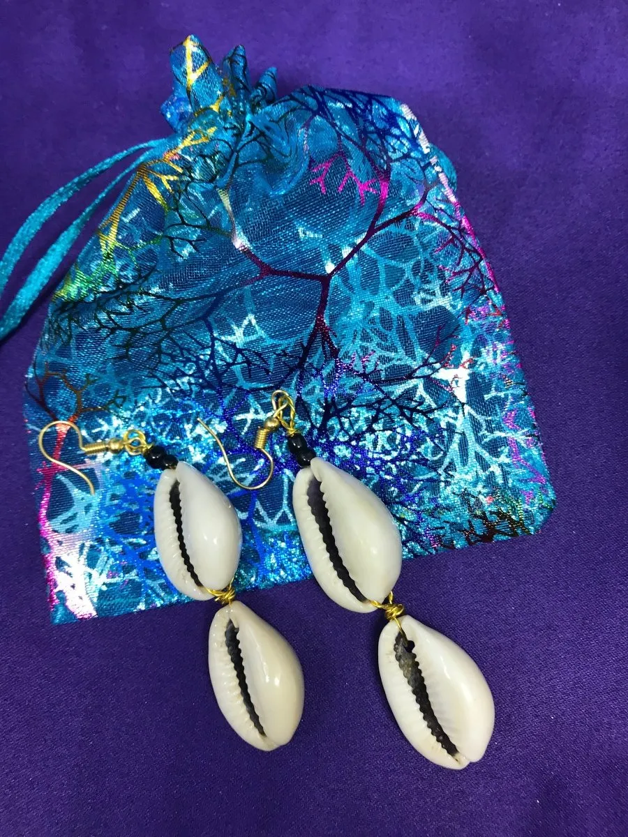 Cowrie Seashell Earrings Made with Silver Wire