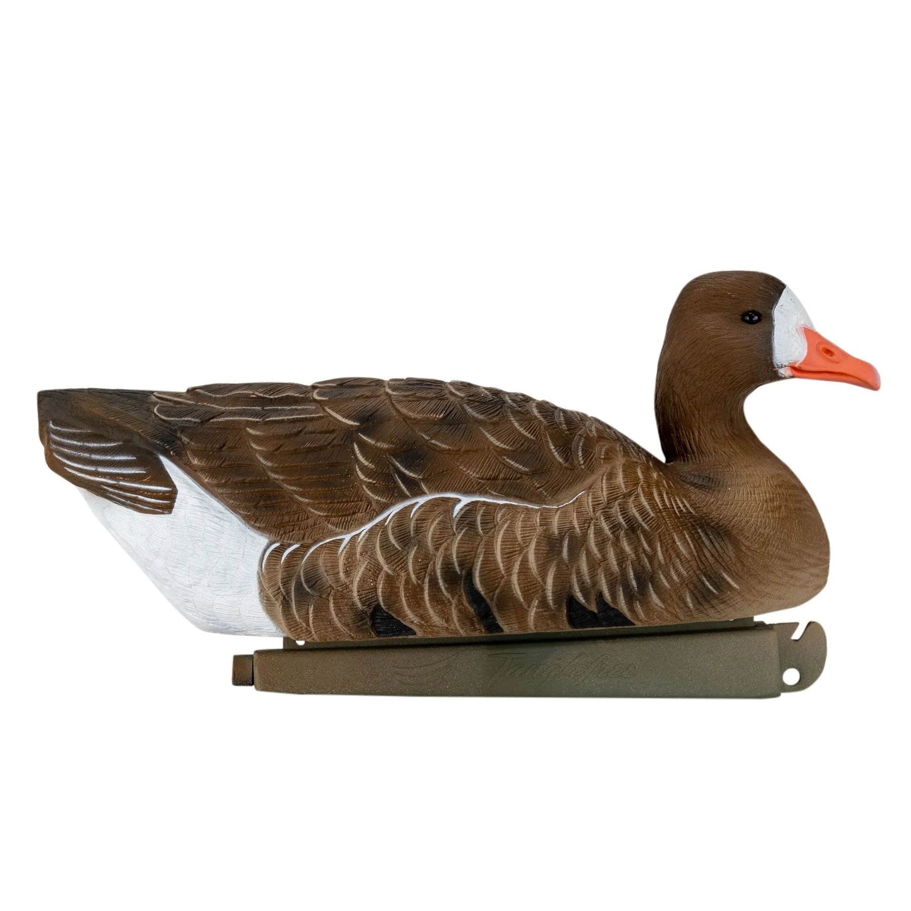 Flight Specklebelly Floater Decoys