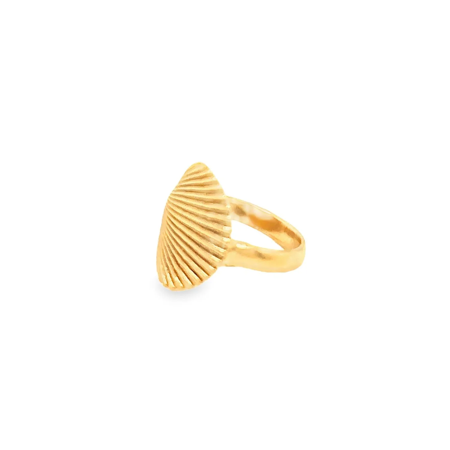 Gold Shell Ring