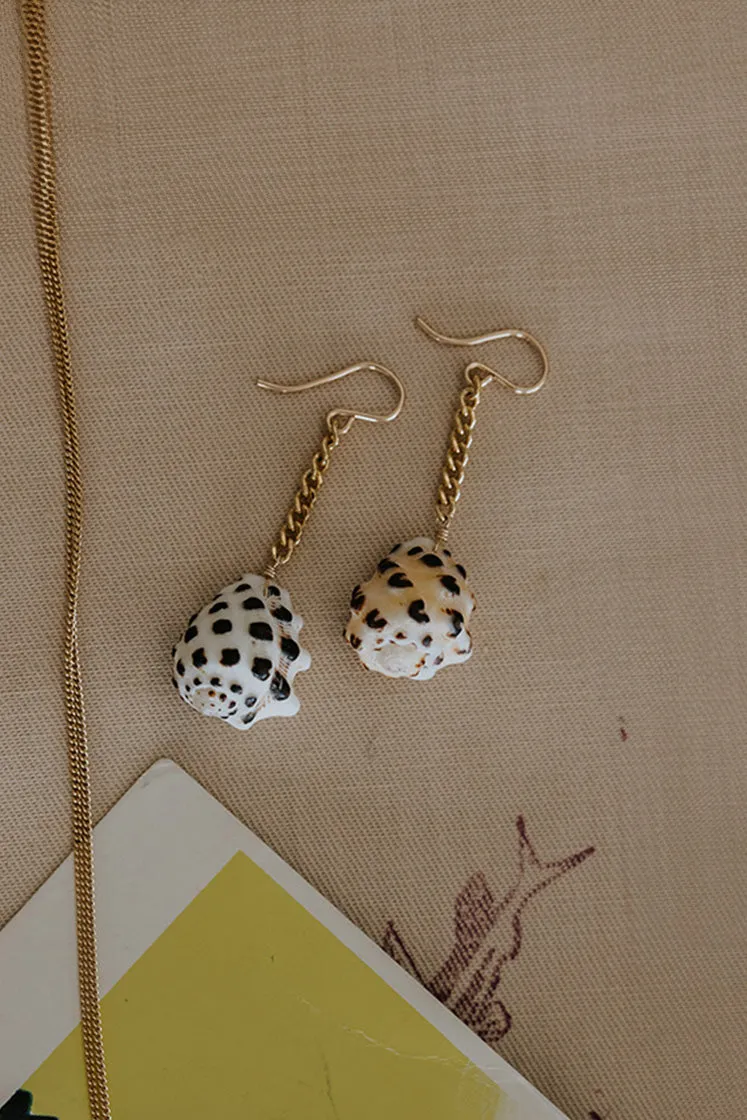 Shell Drop Chain Earrings - Drupe Shell