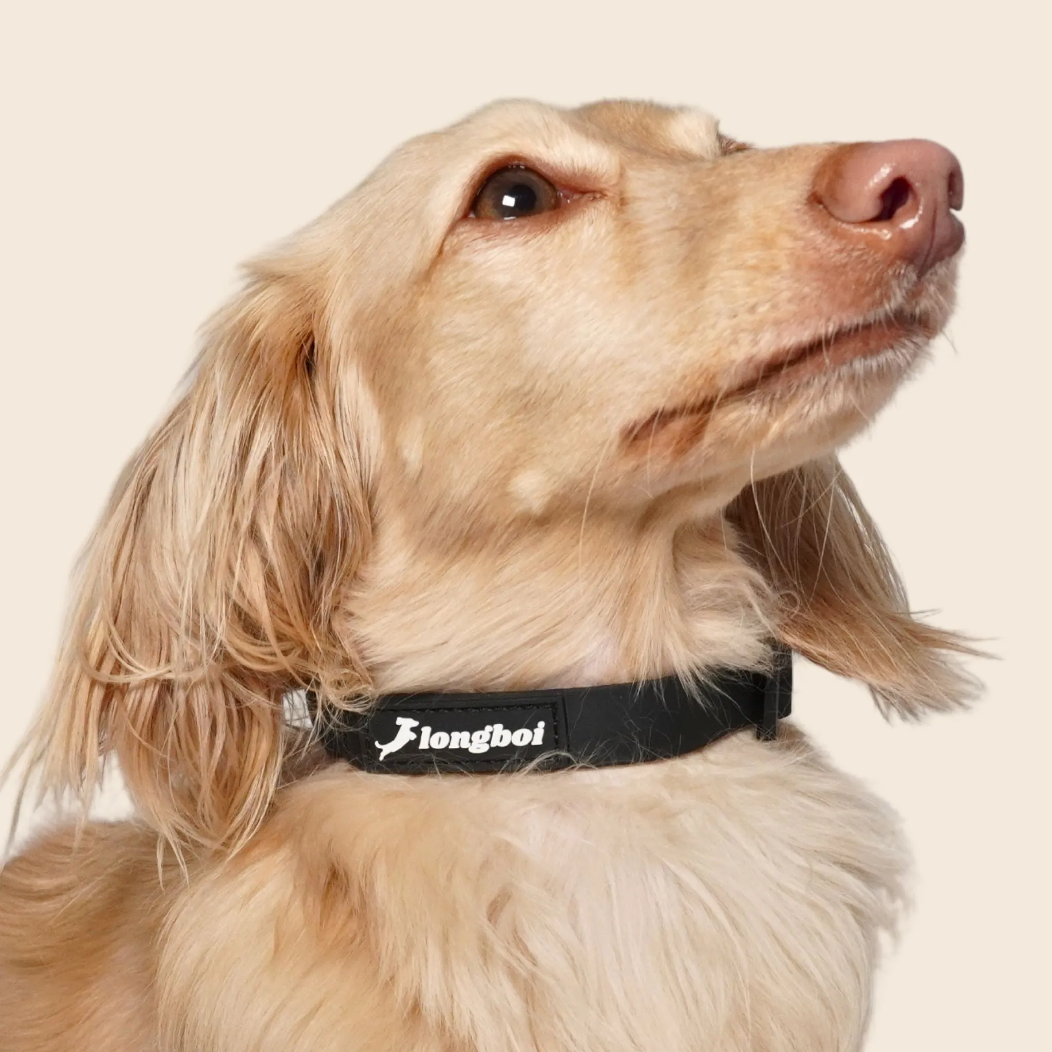 Waterproof Collar