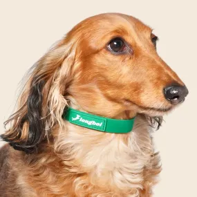 Waterproof Collar